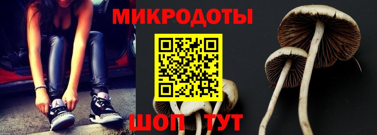 Галлюциногенные грибы ЛСД  Вход с VPN  Зерноград 